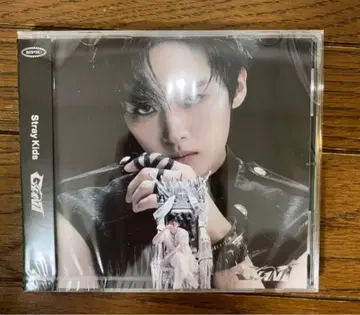 Stray Kids GIANT Sony 팬클럽 한정판 리노 미개봉품