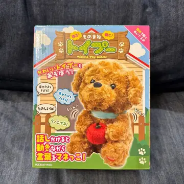 말하는 흉내 토이푸들 브라운 사과 프라이스 강아지 개 흉내쟁이