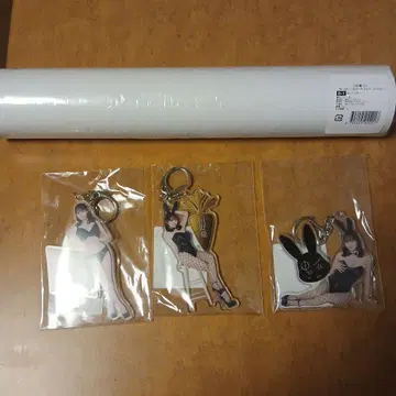 타노 유우 아크릴 키링 포스터 세트