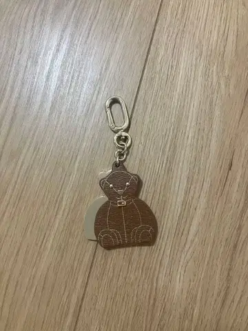곰 모양 브라운 키링