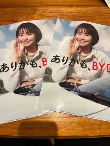 나가사와 마사미 BYD 클리어 파일 2장 세트