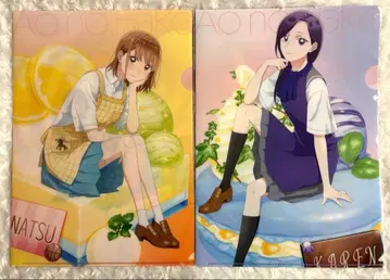 푸른상자 여름색 SugarDays 클리어 파일 세트 4장 묶음 판매