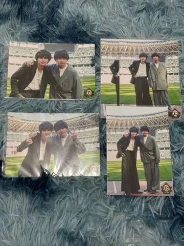 쿠사카와 형제 브로마이드 5장 세트 에비라이