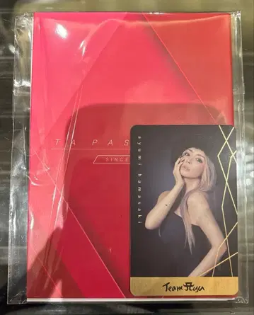 하마사키 아유미 TA 한정판 여권