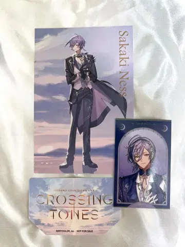 니지산지 사카키 네스 엽서 폴라로이드 세트