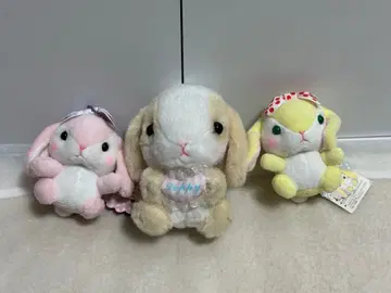 포테우사 롯삐 봉제 인형 묶음 판매