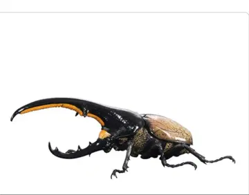 생물대도감 어드밴스 헤라클레스 헤라클레스