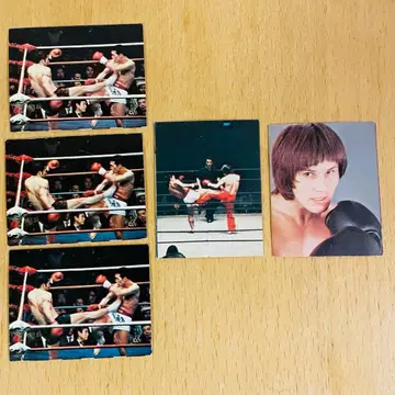 베니 유키데 오카오 쿠니미츠 더블리 격투기 세계 제일 사각 정글 미니카