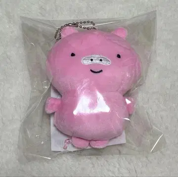 AMPTAK x COLORS 케차 가로로 날고 있는 작은 녀석