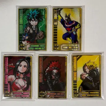 히로아카 스탯 카드 컬렉션 5세트