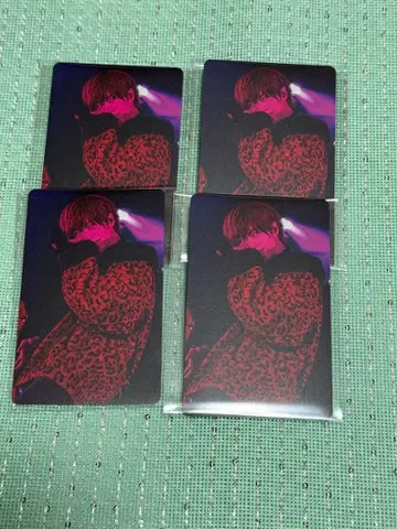 우라시마사카타센 사카타 WARNING 포토 카드