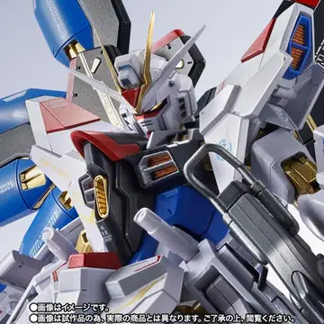 METAL ROBOT혼 <SIDE MS> 스트라이크 프리덤 건담 이식