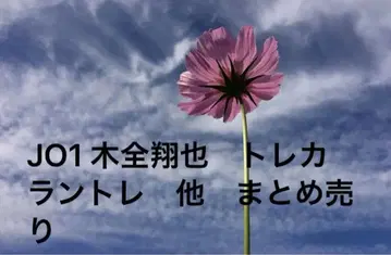 JO1 키마타 쇼야 치마타 묶음 판매