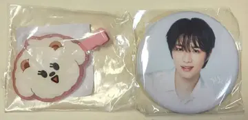 헤어핀과 캔 배지 범규