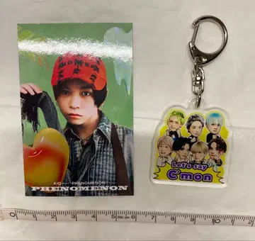 스즈키 루이 2점 세트