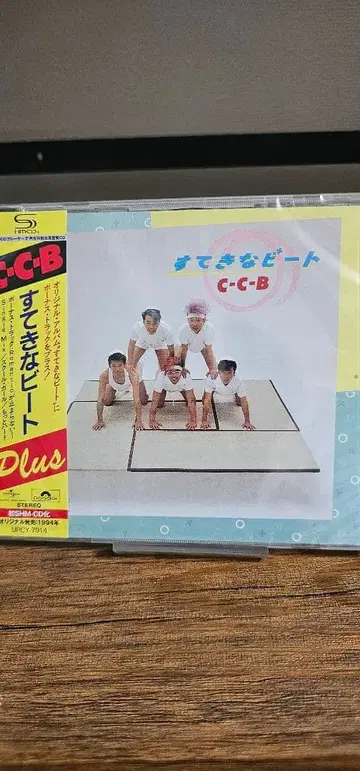 C-C-B 앨범 CD 7장 세트 미개봉 새상품