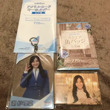 시오사리나 아크릴 키링과 캔뱃지 세트