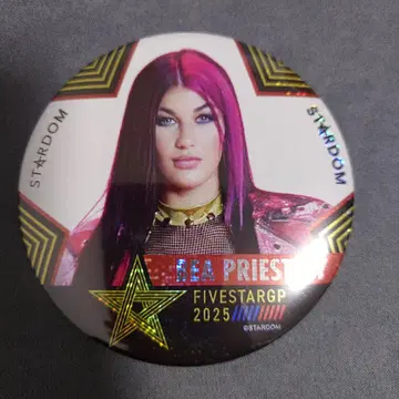 STARDOM 비 프레스리 5STARGP 2025 캔뱃지