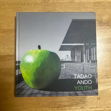안도 타다오 TADAO ANDO YOUTH 친필 드로잉 포함