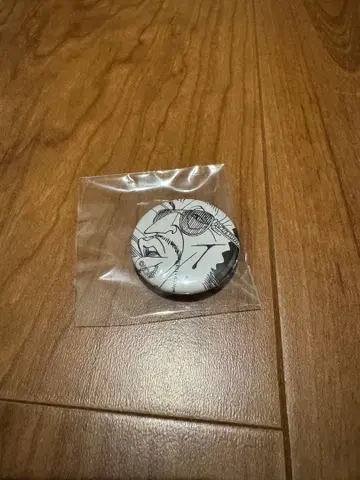 올 페이스 캔뱃지 원피스