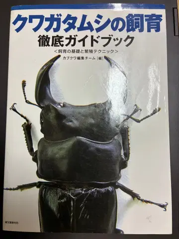 사슴벌레 사육 철저 가이드북