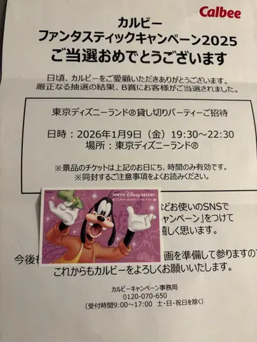 카루비 디즈니 대관