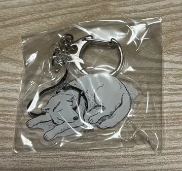 여자의 정원의 별 아크릴 참 세츠코 (타피오카)