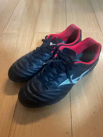 미즈노 모나르시다 네오 트레이닝화 26.5cm