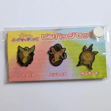 포켓몬 피카츄와 이브이 프렌즈 핀 배지 세트