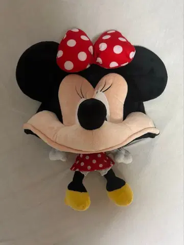 디즈니 미니 팬캡