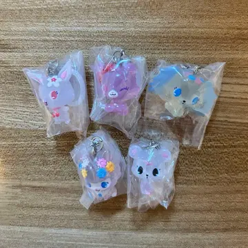 주얼펫 메지루시 액세서리