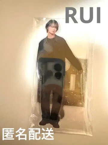 라스피 아크릴 스탠드 RUI STARGROW