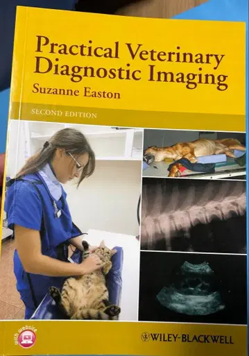 실용 수의 진단 영상