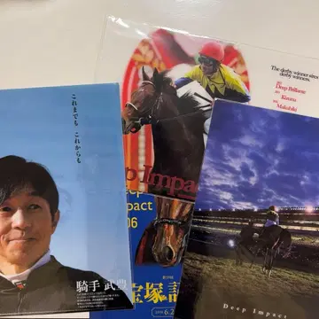 타케 유타카 기수 & 딥 임팩트 클리어 파일 세트