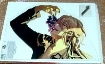 파라라이 시온 카이다 시온 빅 아크릴 스탠드 Survive