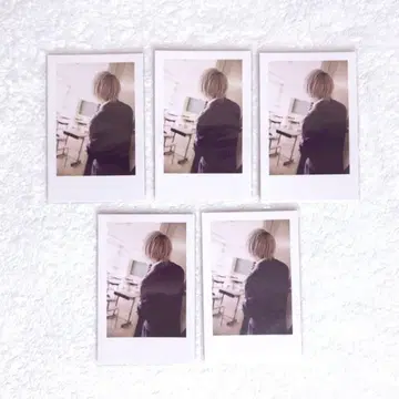 이레귤러스 호토케 폴라로이드 실사