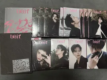 straykids 스키즈 DO IT 앨범 세트 선주문 특전 포함