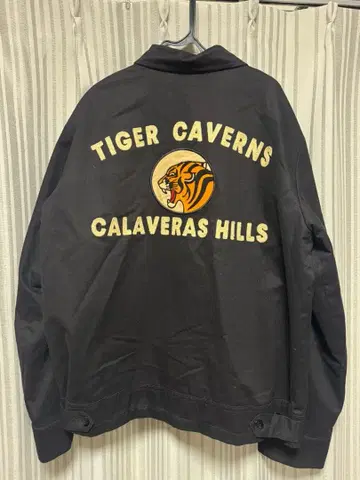 Backers Tiger Caverns 자켓