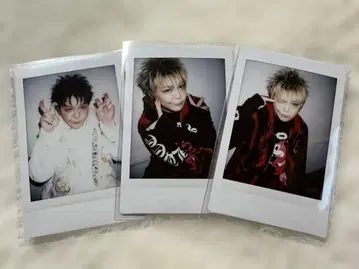 [ DOG 봄 ] DOG inThe PWO 봄 폴라로이드