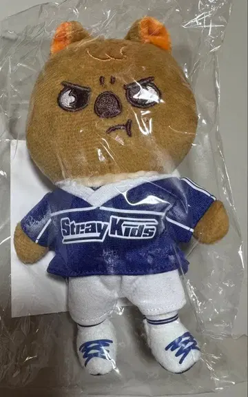 straykids 한쿼카 백참