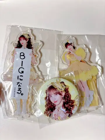 하야세 노엘 아크릴 스탠드, 캔 배지