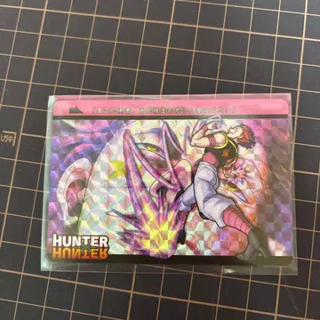HUNTERxHUNTER 카드 히소카