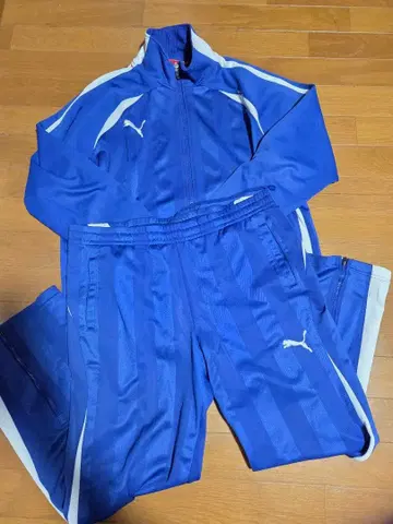 PUMA 파랑 스트라이프 저지 M