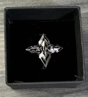 타케우치 리키 핀즈