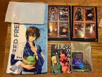 건담 seedfreedom 키라 극락탕 외