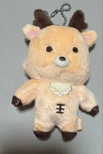 RIIZE 성찬 봉제 인형 우라 쿠바무