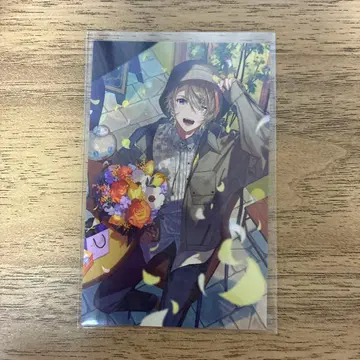 니지산지 후라 소토 노스탤지어 컬렉션