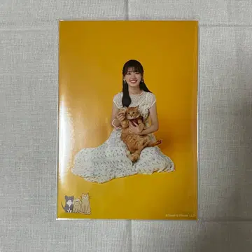 [ 히나타자카46 ] 브로마이드 사사키 미레이 과거 의상 시크릿 2