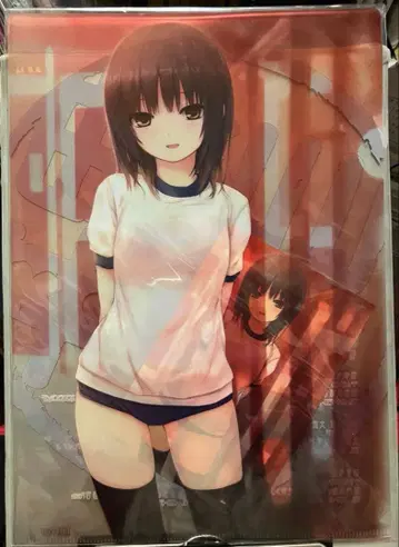 커피 귀족 A4 클리어 파일 & 엽서 아르주네스 축중심파