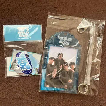 WILDBLUE 굿즈